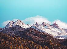 易建联19-20赛季扣篮集锦，86记扣篮劲爆十足